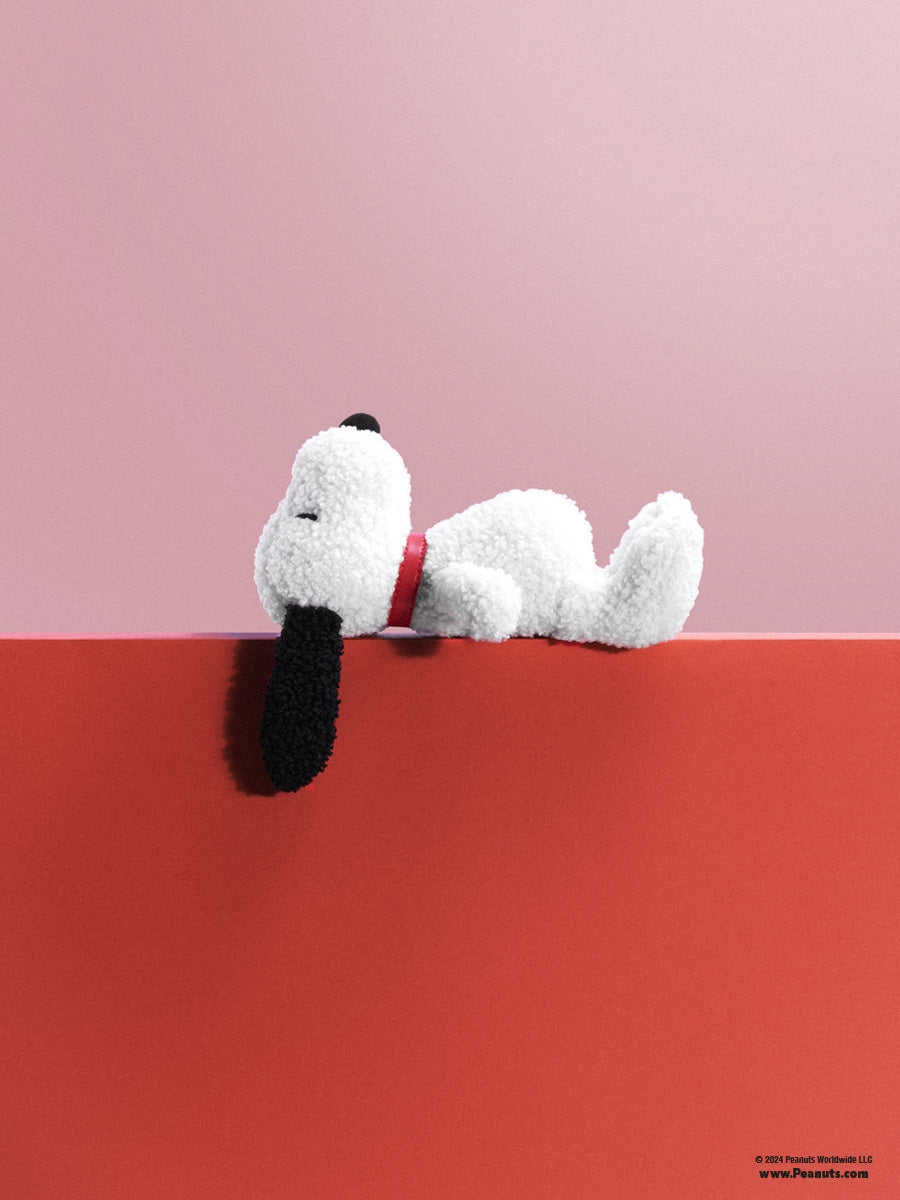 Snoopy Teddy giftbox