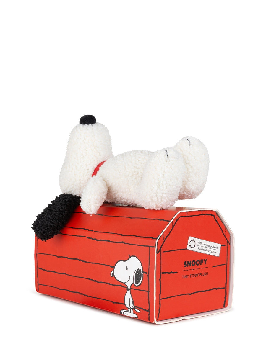 Snoopy Teddy giftbox