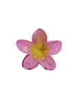 Hawaiian Flower Clip - Paradise Pink