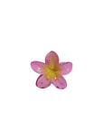 Small Hawaiian Flower Clip - Paradise Pink