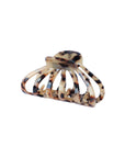 Conch Claw - Brown