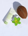 Hawaiian Flower Clip - Tropical