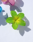 Hawaiian Flower Clip - Tropical