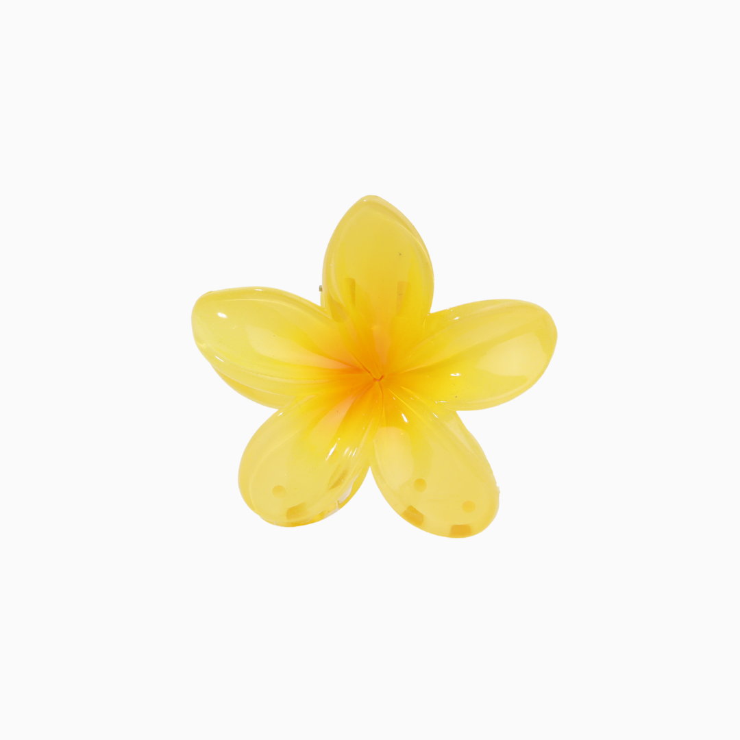 Flower Clip - Pineapple