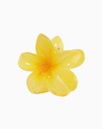 Flower Clip - Pineapple
