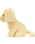 Golden Puppy