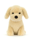 Golden Puppy