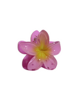 Hawaiian Flower Clip - Paradise Pink