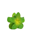 Hawaiian Flower Clip - Tropical