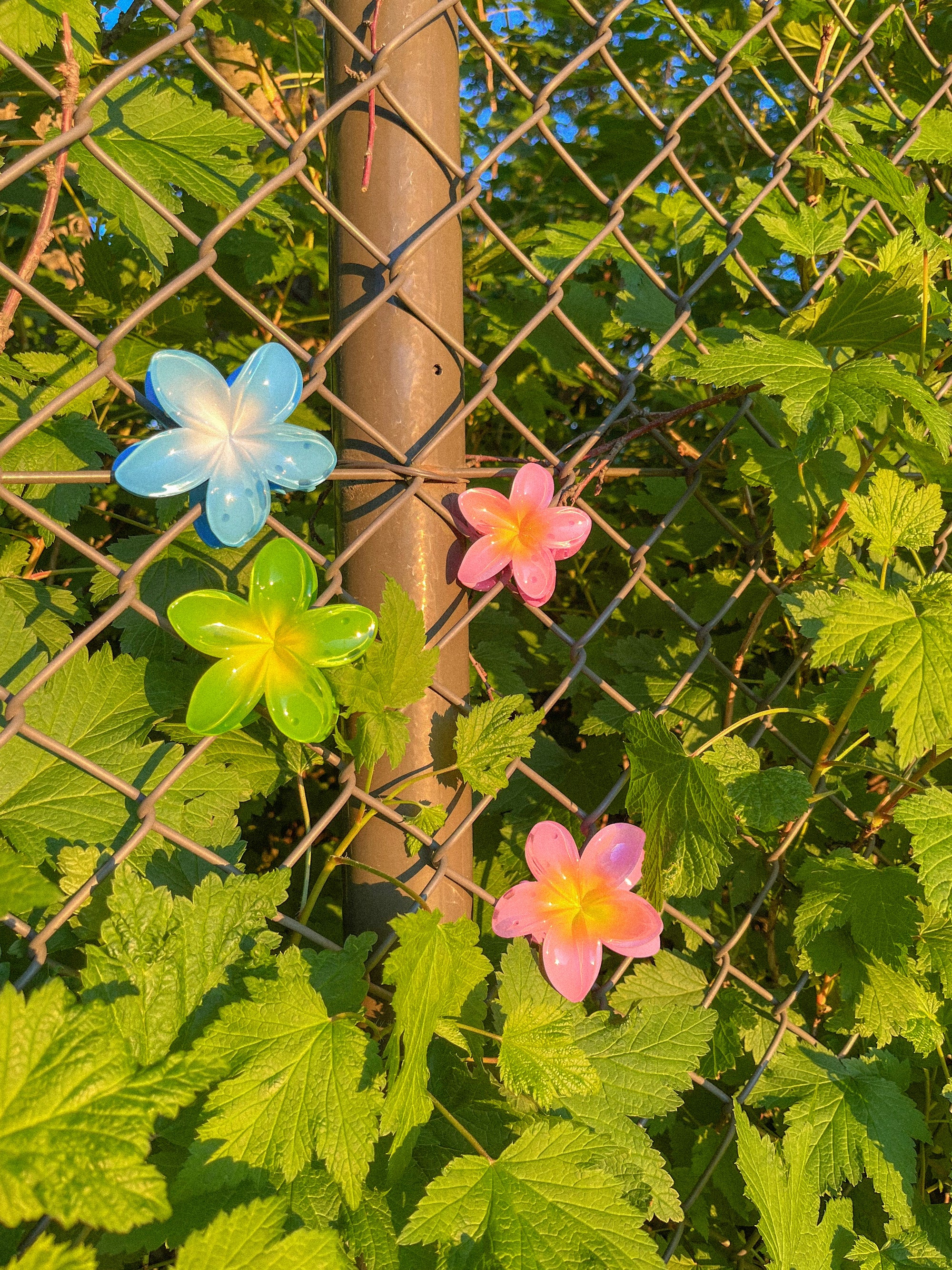 Small Hawaiian Flower Clip - Paradise Pink