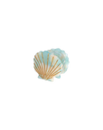Cute Shell - Sea Foam