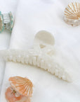 Cute Shell - Sea Foam